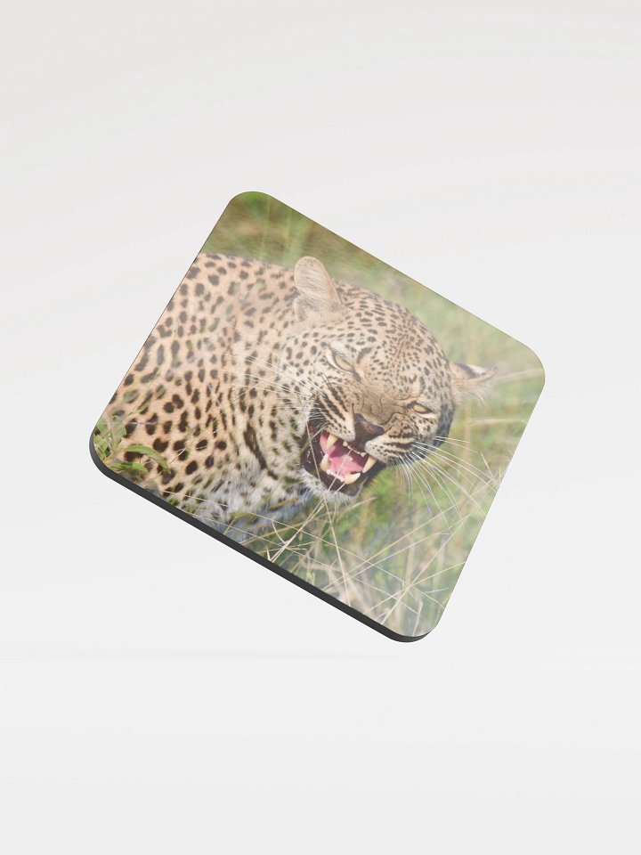 The Spotted Sip | Natural Leopard Print Cork Coaster Set product image (1)