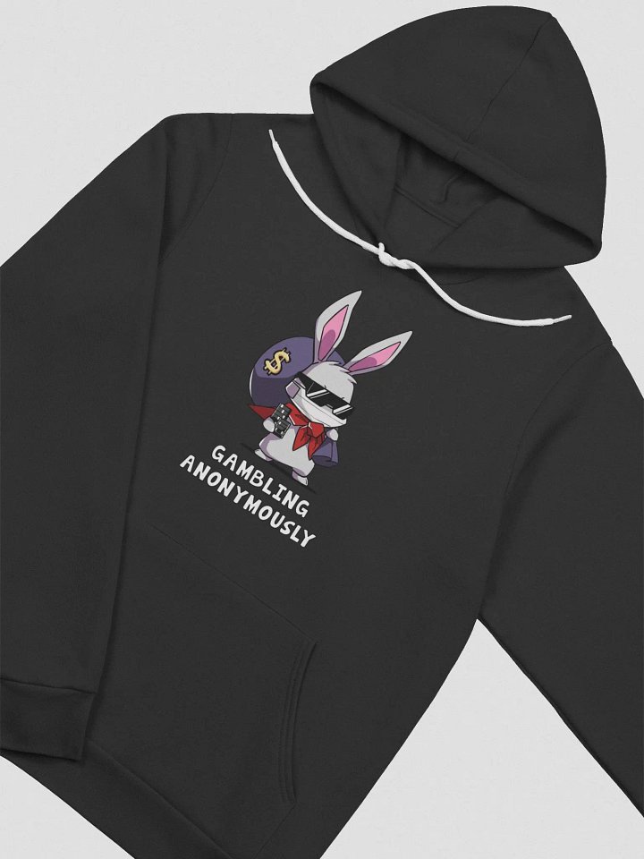 VP GA Hoodie - 4 Colors product image (2)