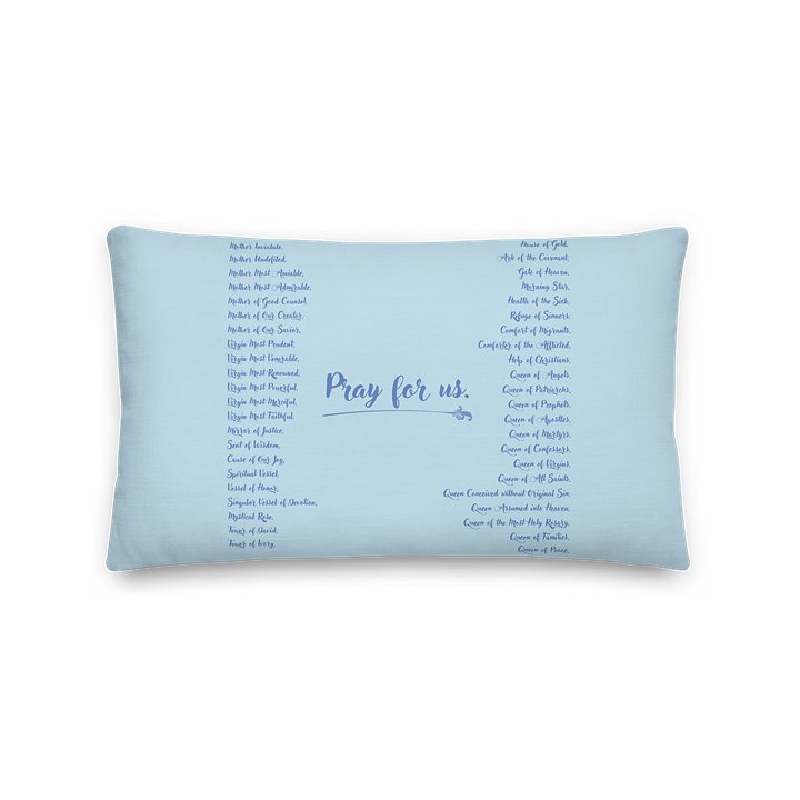 Virgin Mary Prayer Pillow with Pink Rose Halo product image (5)