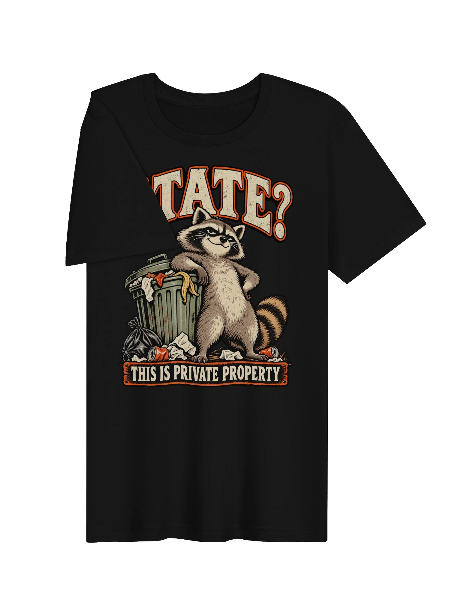 STATE? – This is Private Property Raccoon Graphic Tee product image (2)