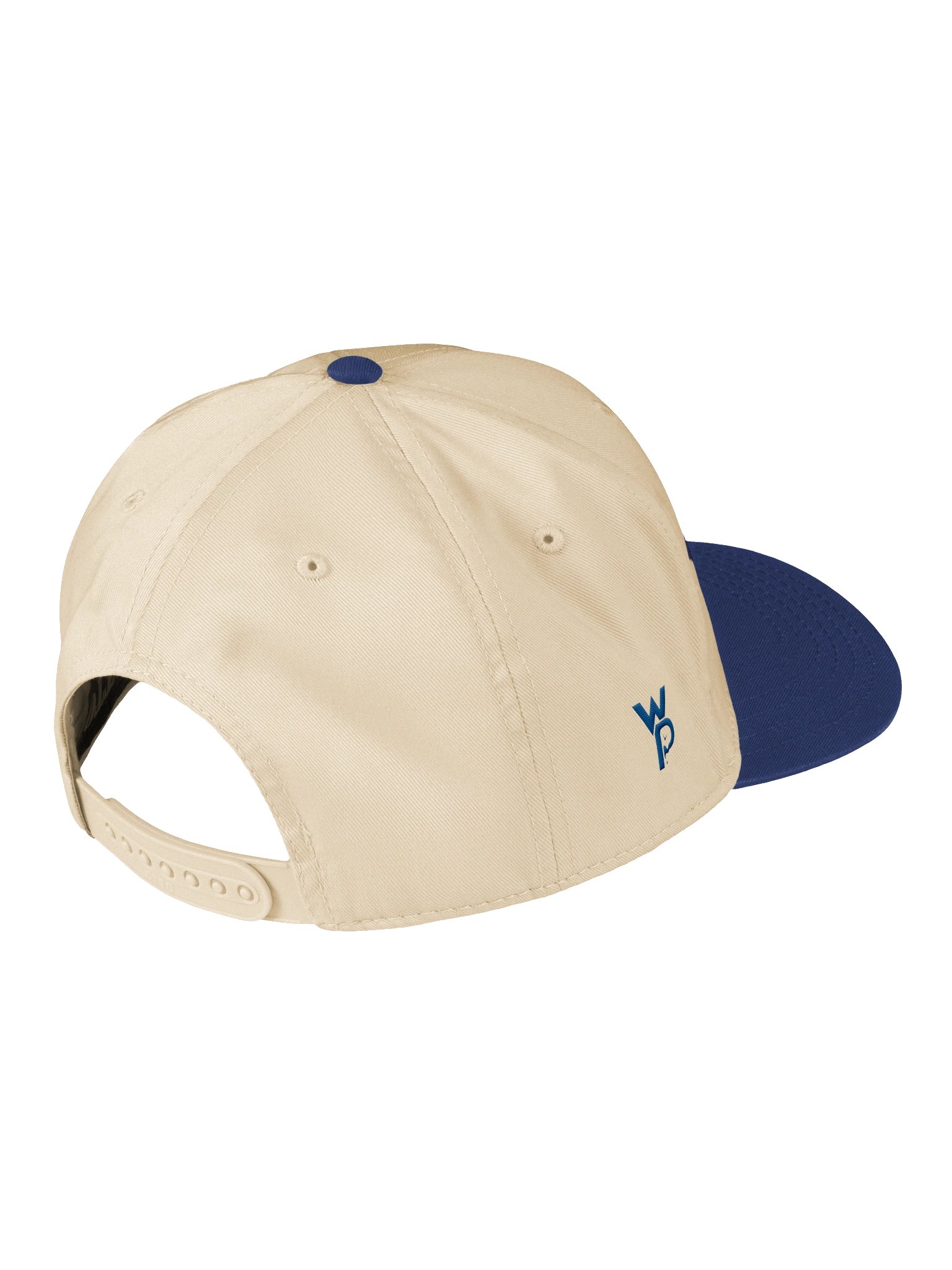 Upside Down Wasted Potential Hat product image (4)