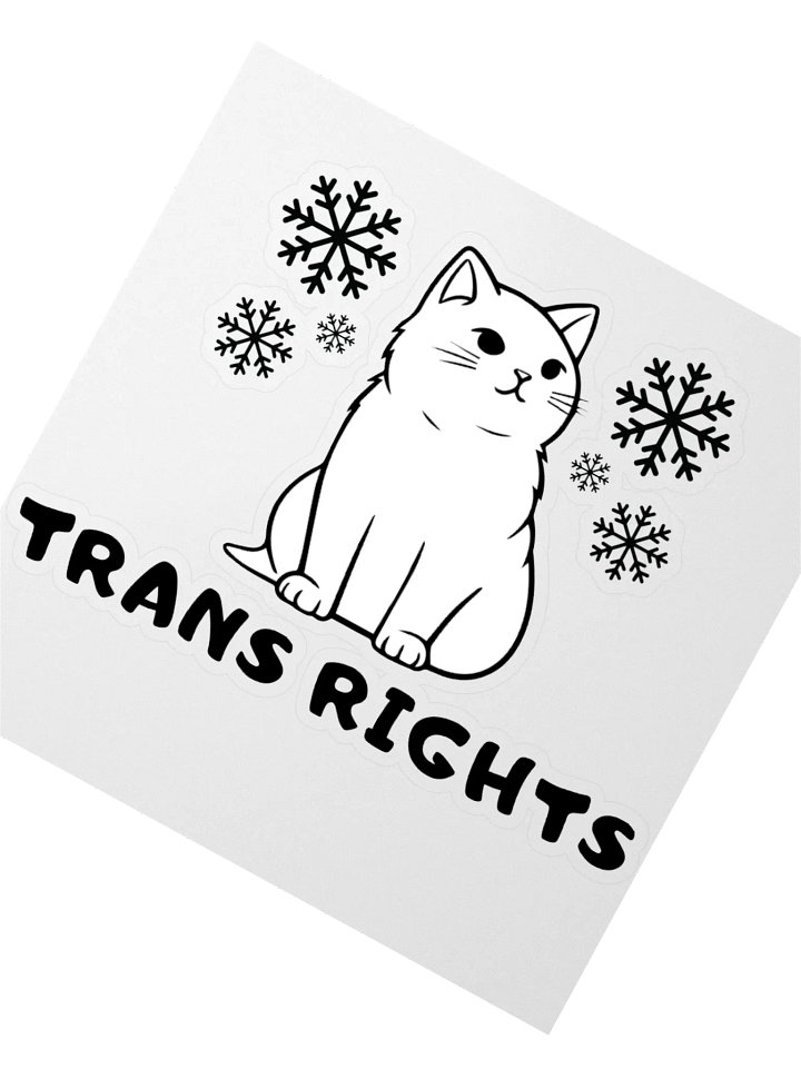 Trans Rights Cat Sticker With Snowflakes product image (2)