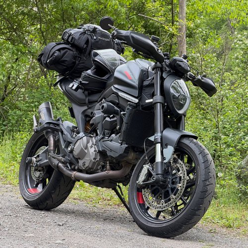 @ducati Monster 937. got it new but the baby already has 25,000 miles on it. a pure joy to ride. light, nimble, raucous or hu...