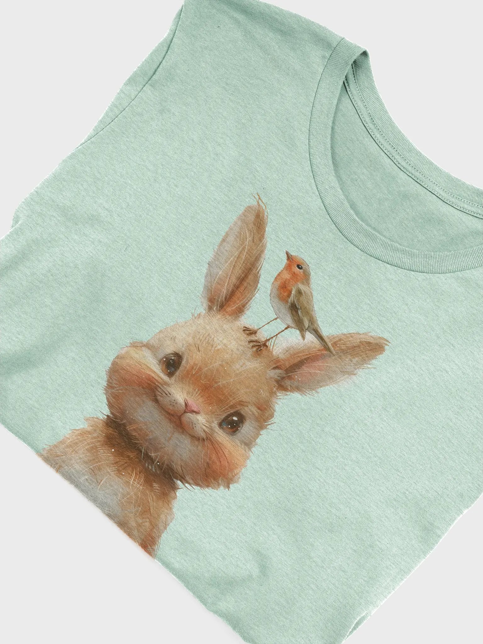 Bunny with Robin product image (5)