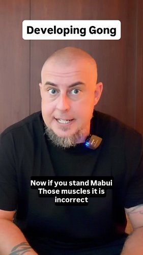 Excerpt from talk on developing Gong

#qigong #mabu #gongfu