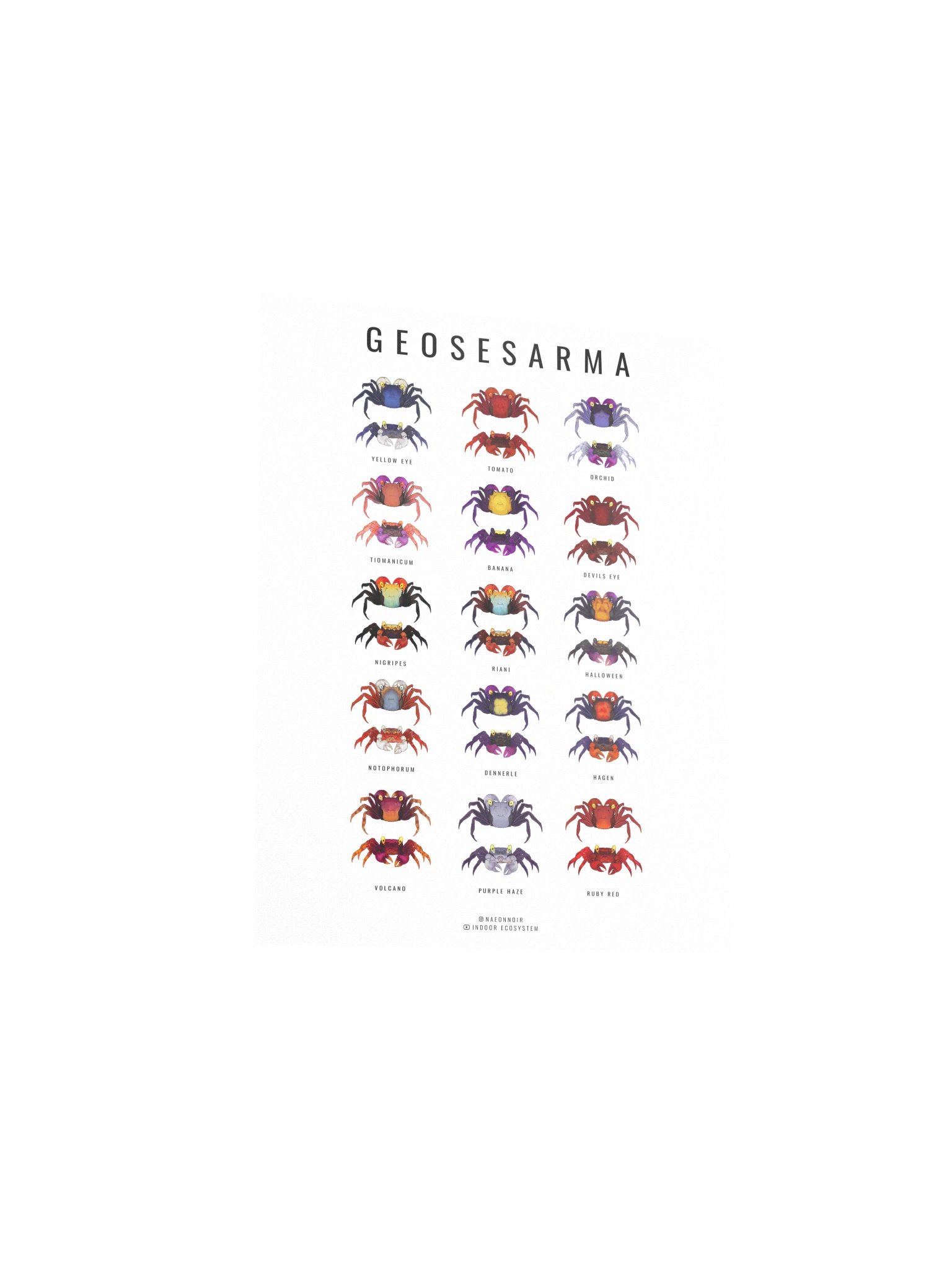 GEOSESARMA VAMPIRE CRAB POSTER (WHITE) product image (3)