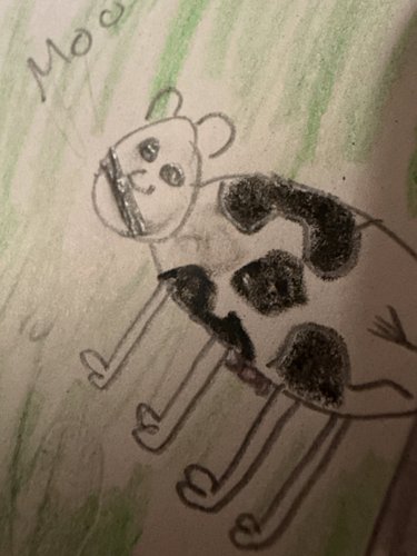 I found this cow 🐄 drawing from my ABC’s of Florida book I made in 4th/5th grade. Safe to say, definitely improved my accownt...