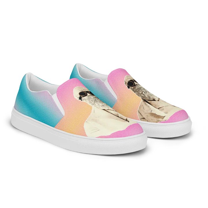 Darwinism Slip-On Canvas Shoes product image (2)
