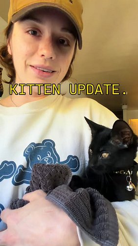 UPDATE: We went on adventure in a towel outside the bathroom for a little because I couldn’t bear the meows, but everything i...