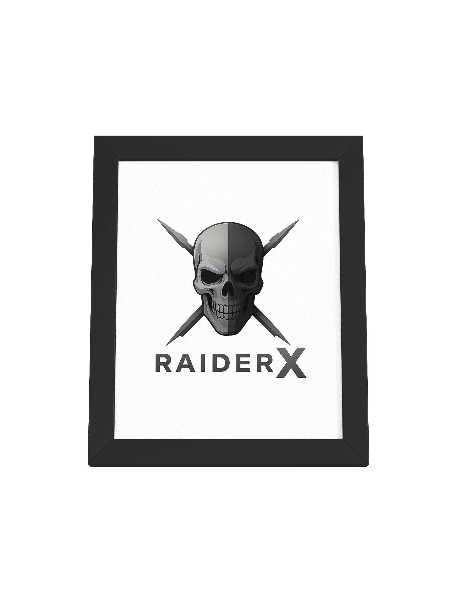 Raider-X product image (1)