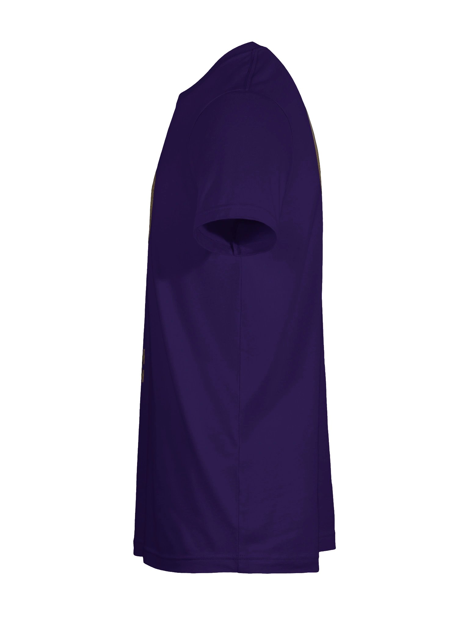 The Gatekeeper’s Key Classic T-Shirt – Front & Back Print | Team Purple | Bella+Canvas 3001 product image (11)