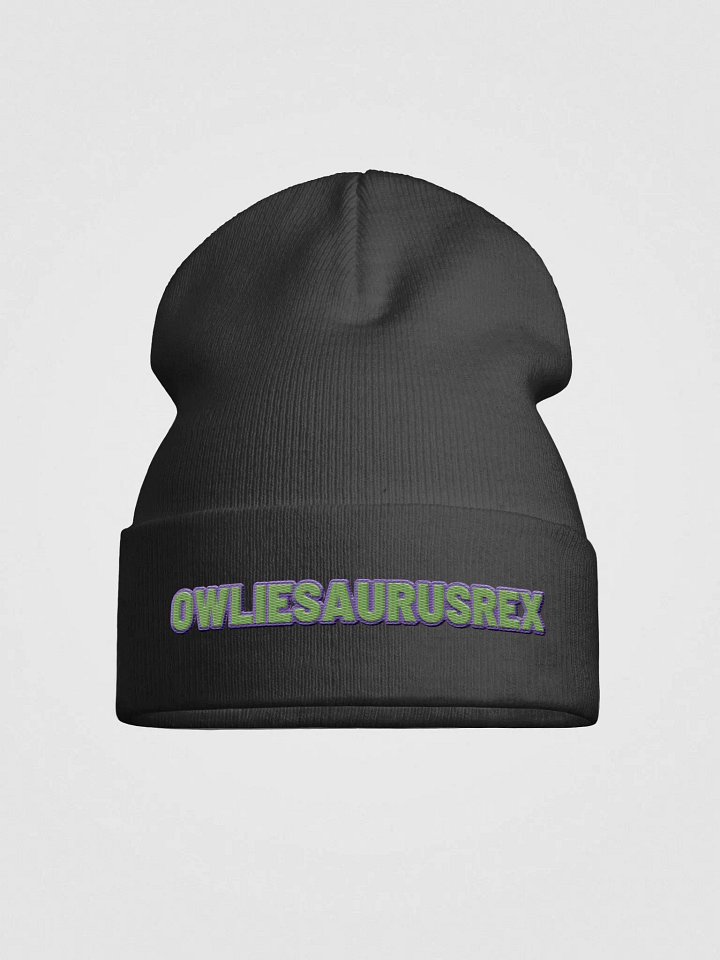 OwliesaurusRex Hat product image (4)