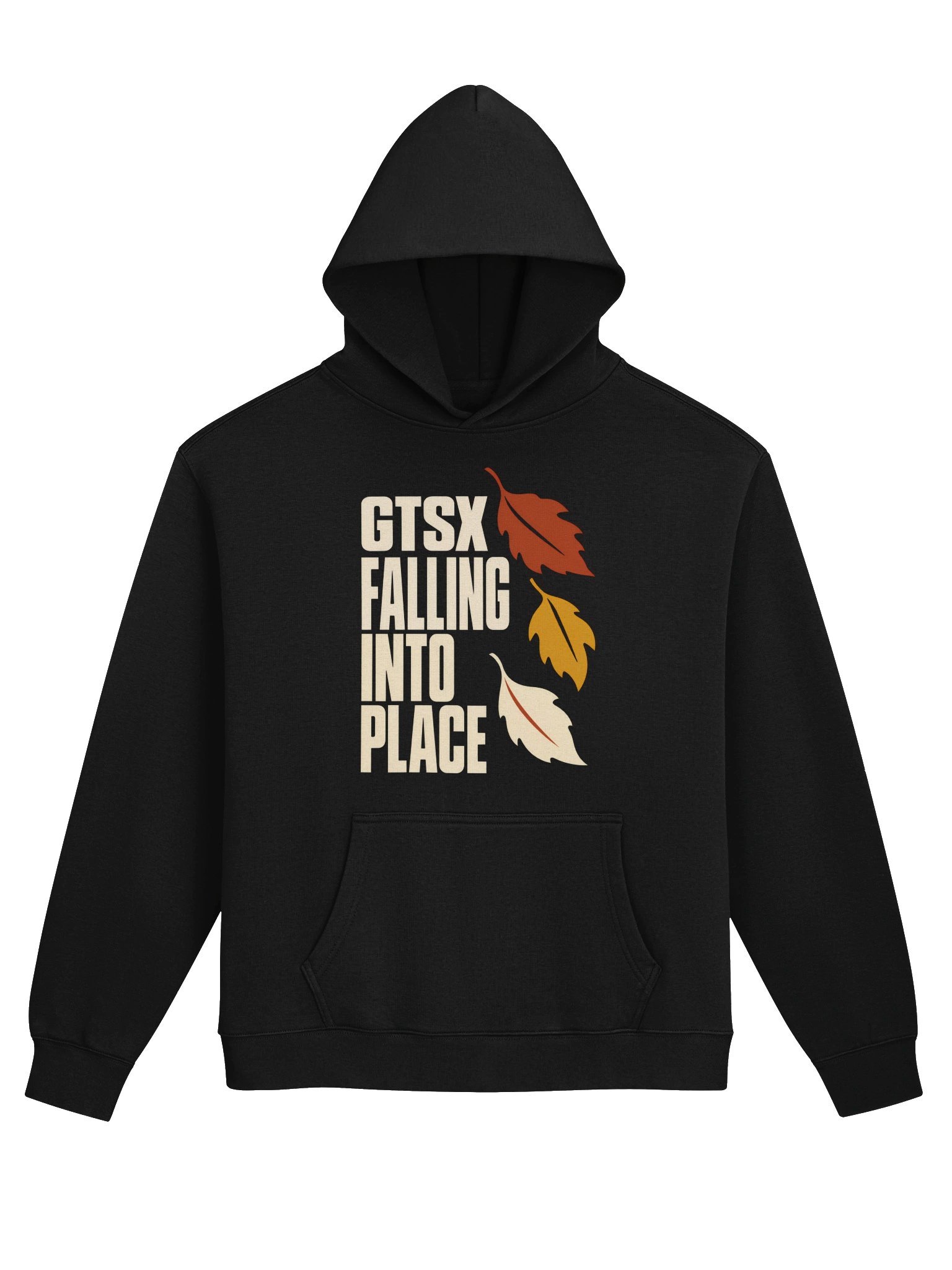 GTSX FALLING INTO PLACE product image (2)