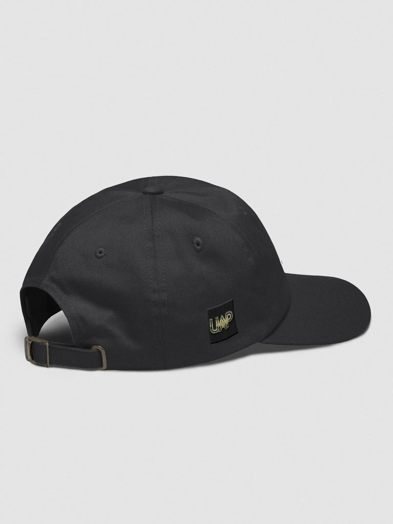 dad hat product image (30)