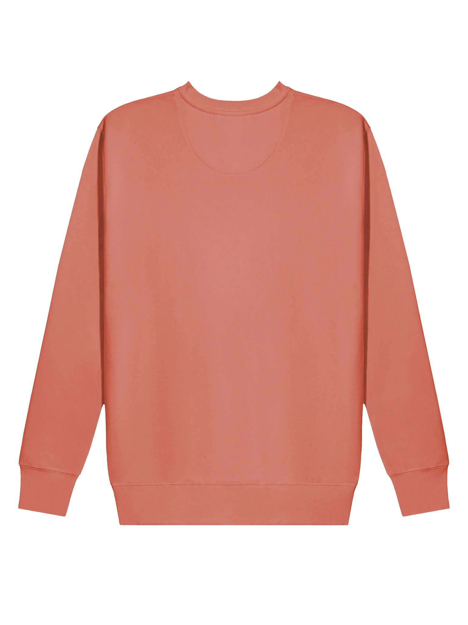 Anyway... Sweatshirt (Blue solid) product image (17)
