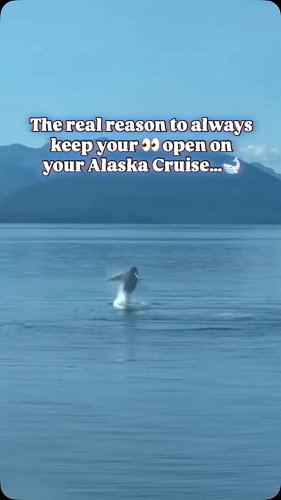 #eyesontheprize in #alaska #explorepage #fyp #alaskacruise