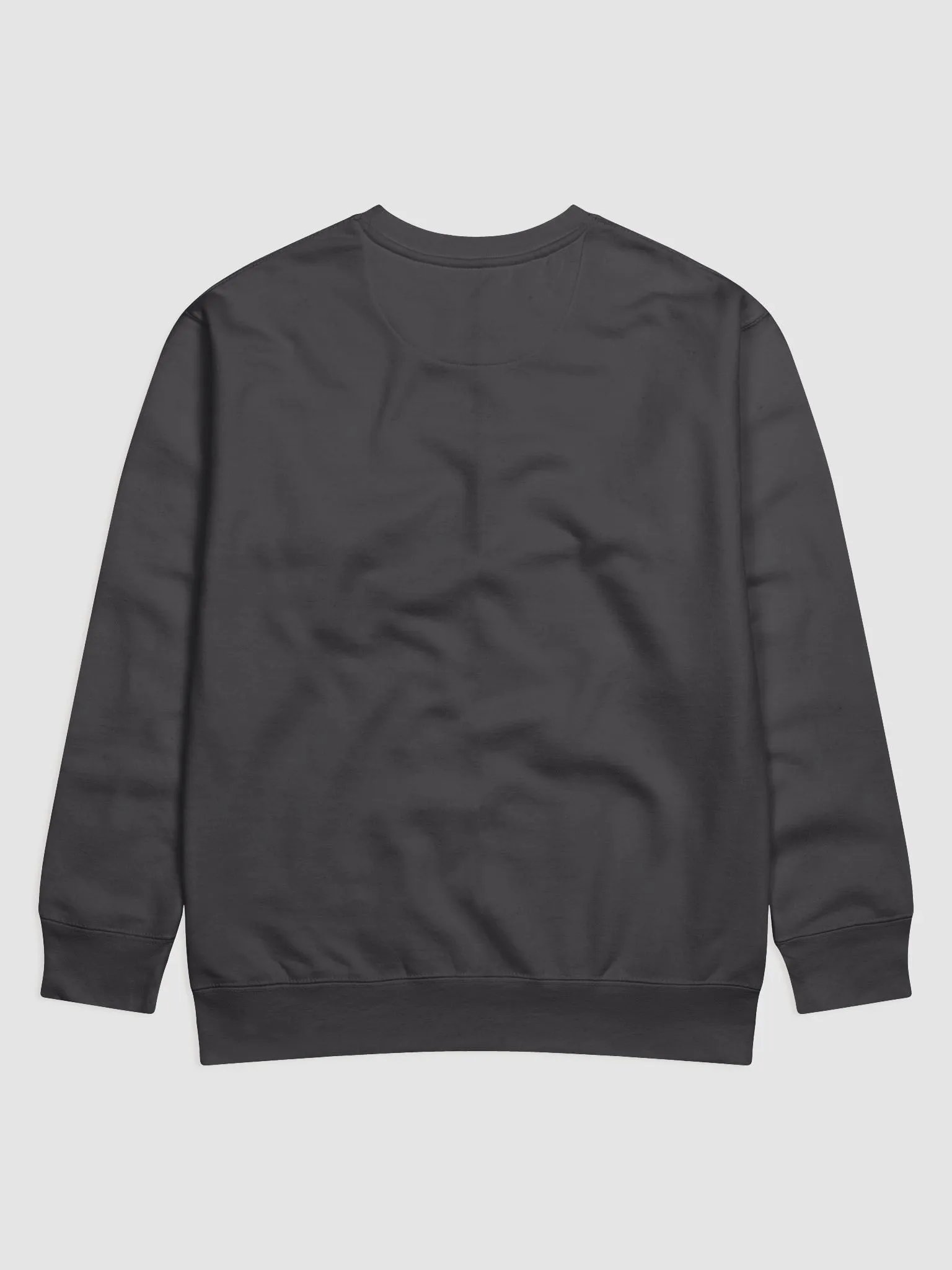 Stylized Cursive Premium Sweatshirt"ONE STEP AT A TIME" product image (2)