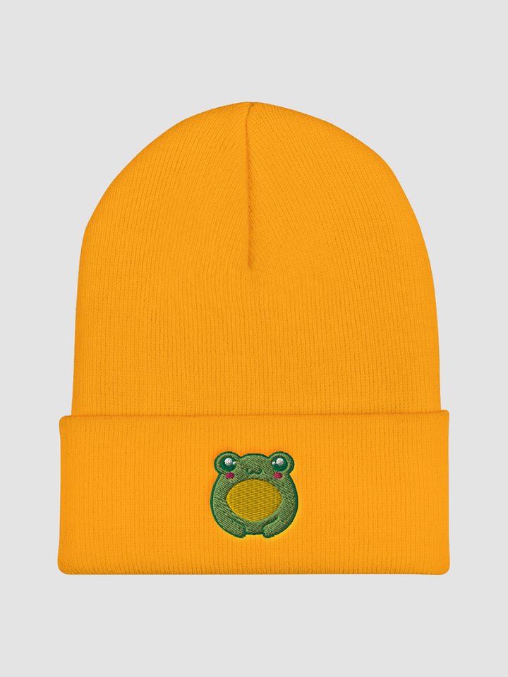Froggo Embroidered Cuffed Beanie product image (2)