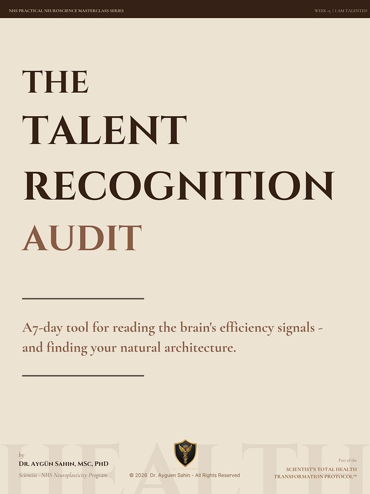 TALENT RECOGNITION AUDIT product image (2)