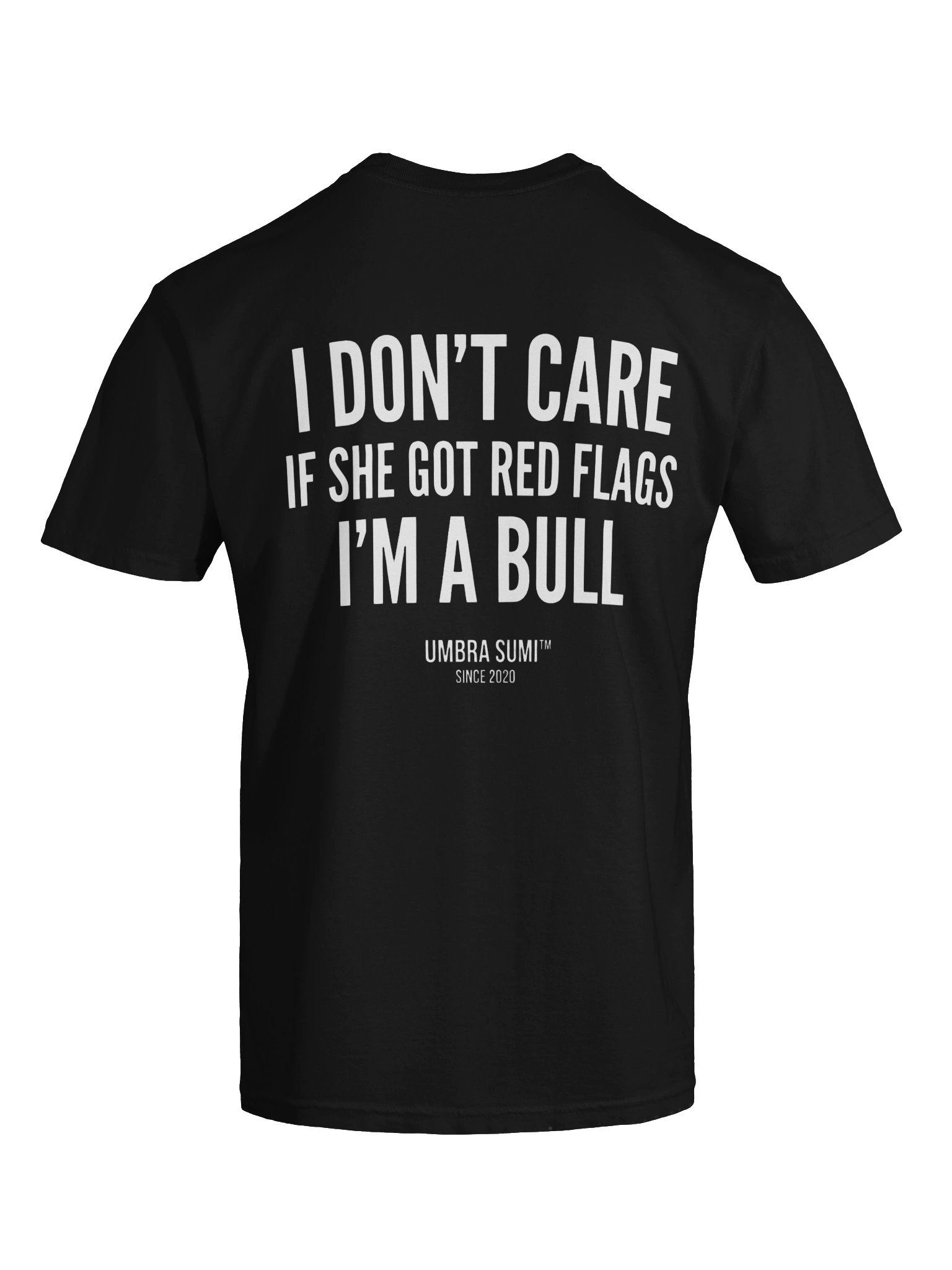 I Don't Care If She Got Red Flags Funny Men's T-Shirt product image (3)