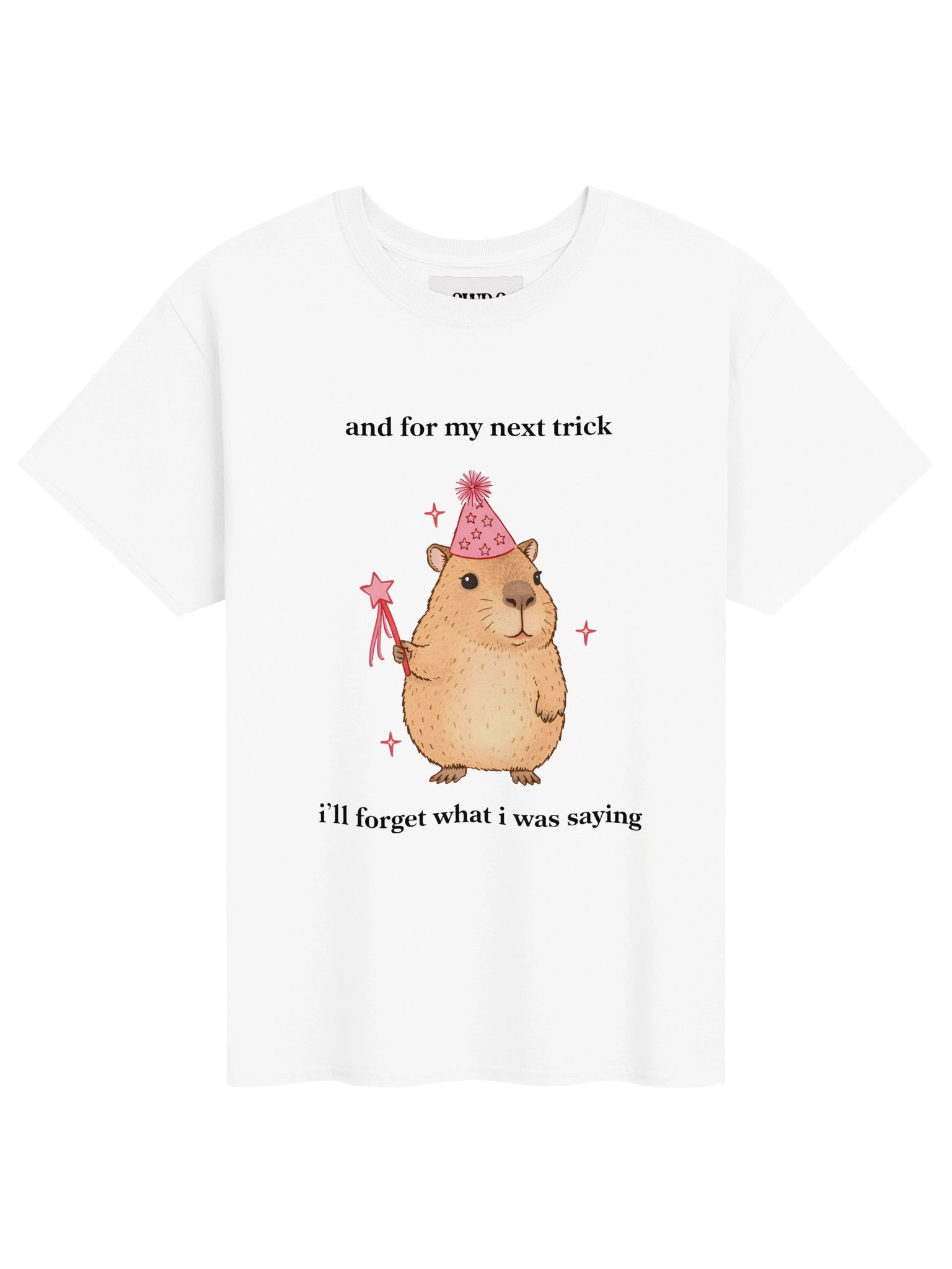 Magic Cabybara product image (1)