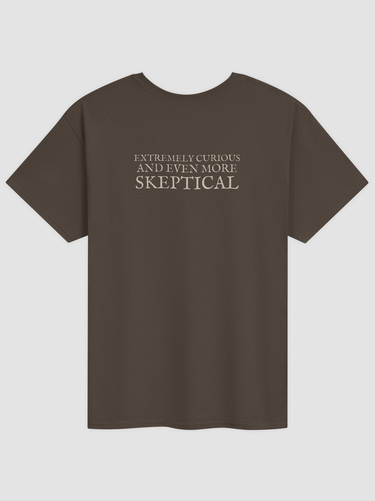 Tea Party Alice + Extremely Curious and Even More Skeptical Heavyweight Cotton T-Shirt, Original John Tenniel Illustration product image (2)
