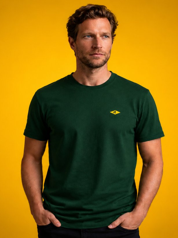 Camiseta Essencial Filhos da Patria Verde product image (1)