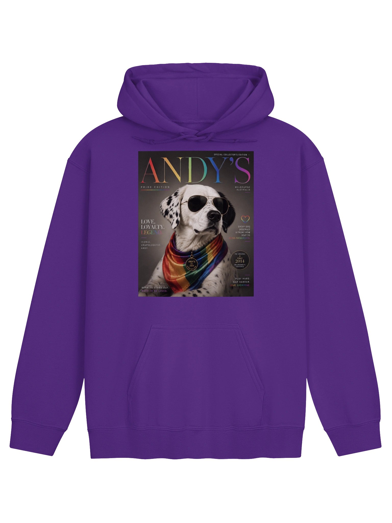Andy's Pride Edition Hoodie product image (11)