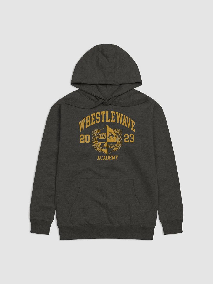 Wrestlewave Academy Hoodie product image (1)