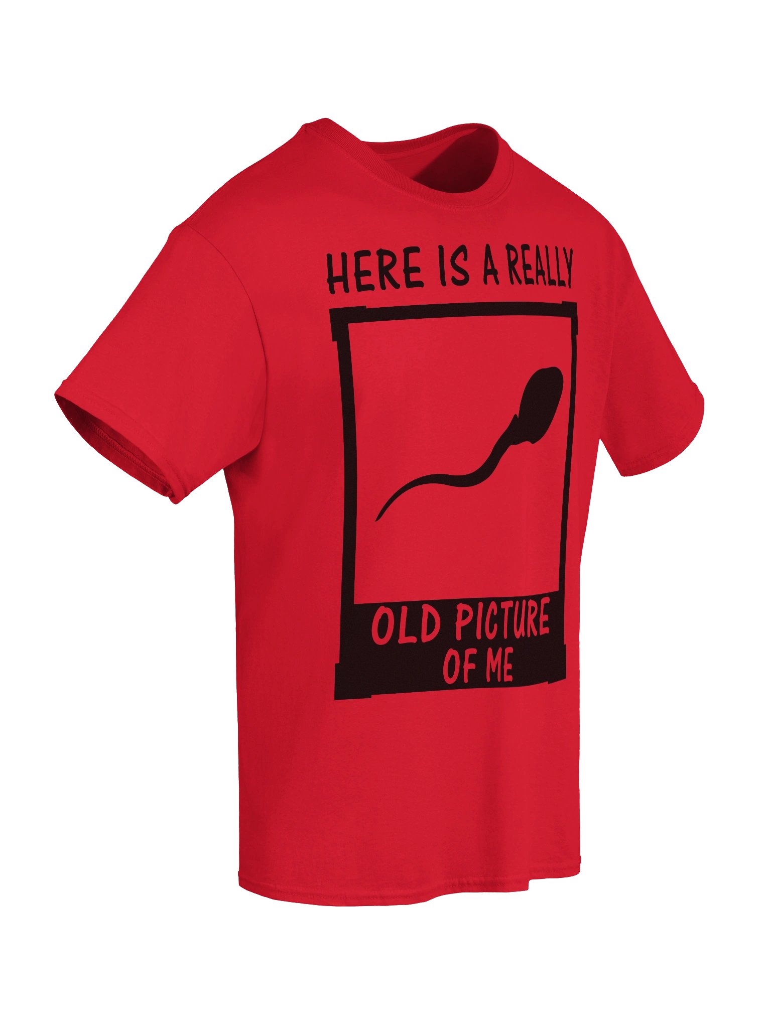 Here Is A Really Old Picture Of Me Shirt product image (10)