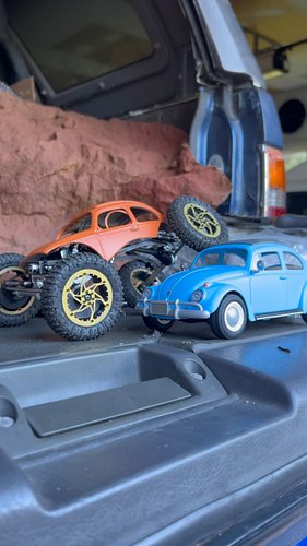 Spot the difference. Two @playmobil bugs. #scx24
