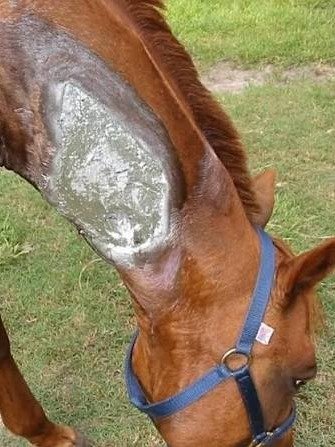 Aluminum Wound Spray Bandage product image (2)