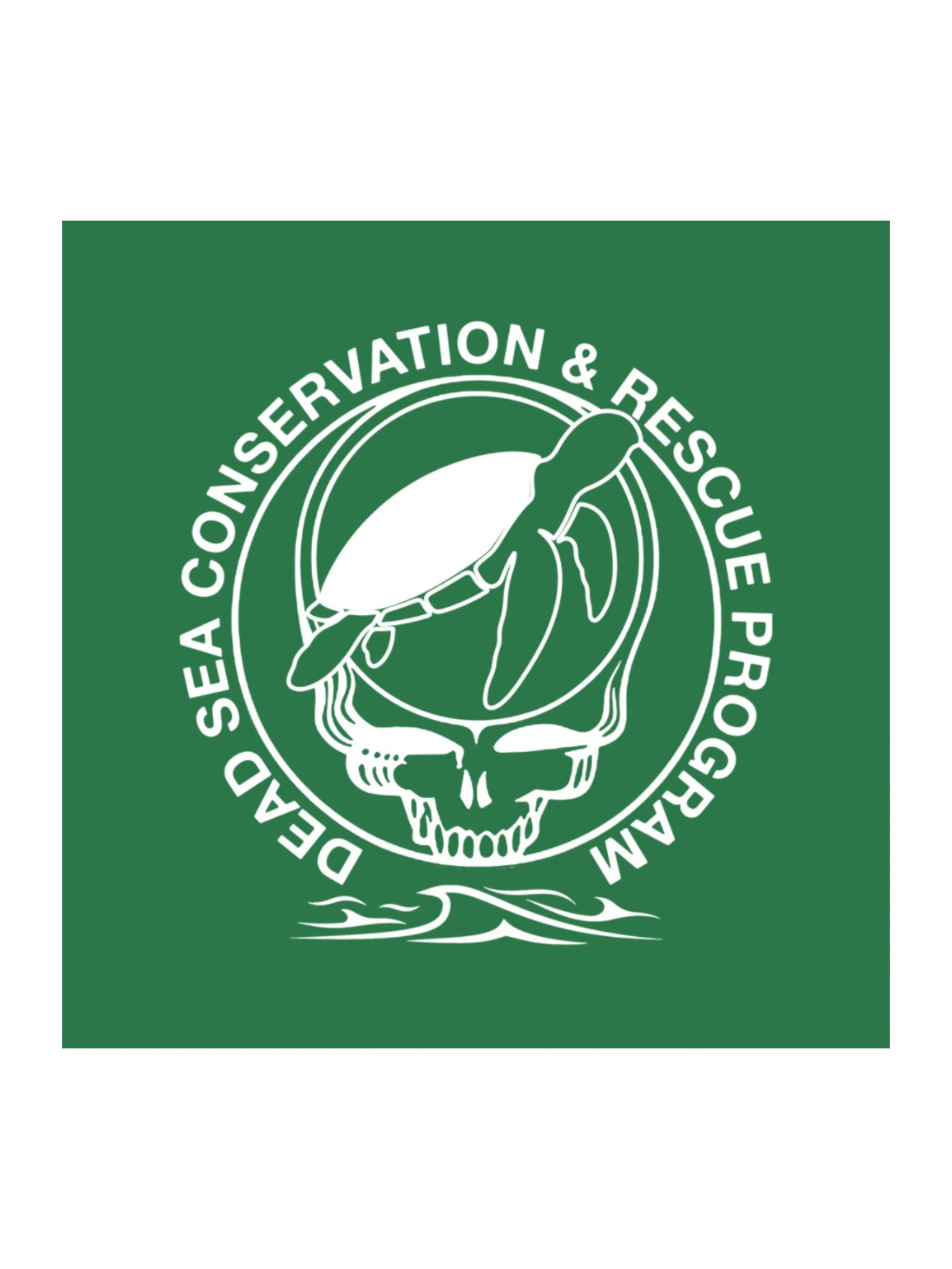 TURTLE CONSERVATION STICKER product image (1)