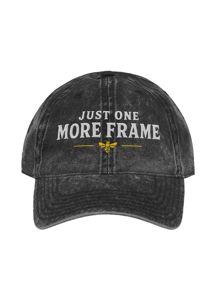 Just One More Frame Vintage Cap product image (1)