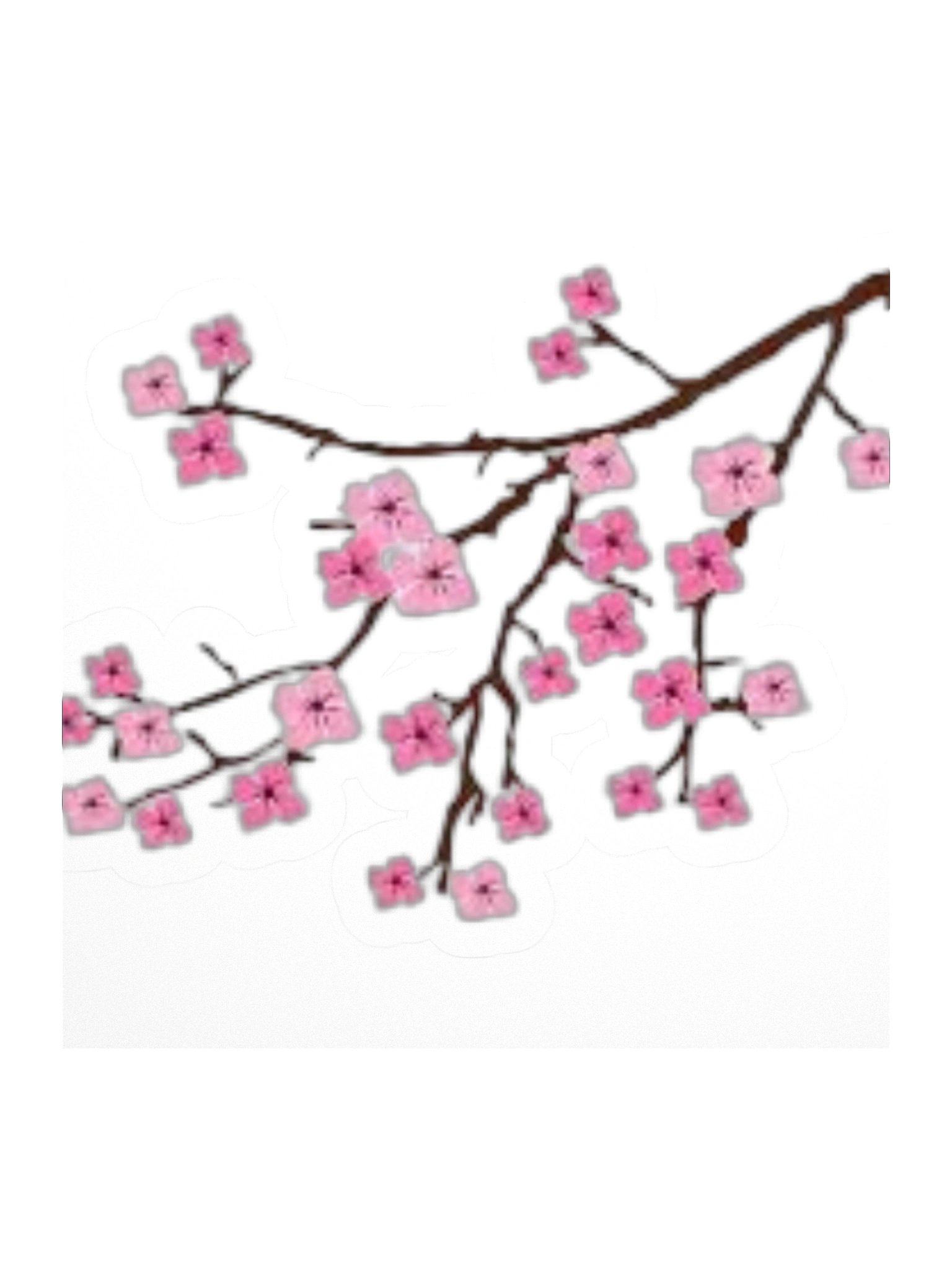 cherry blossom sticker product image (1)