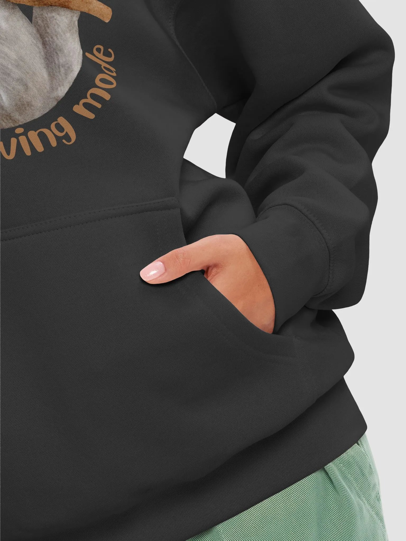 Energy Saving Sloth Premium Hoodie product image (8)