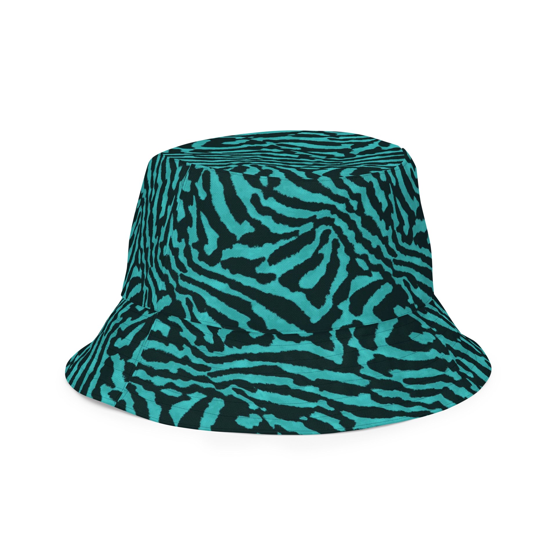 Teal Zebra Hat product image (3)