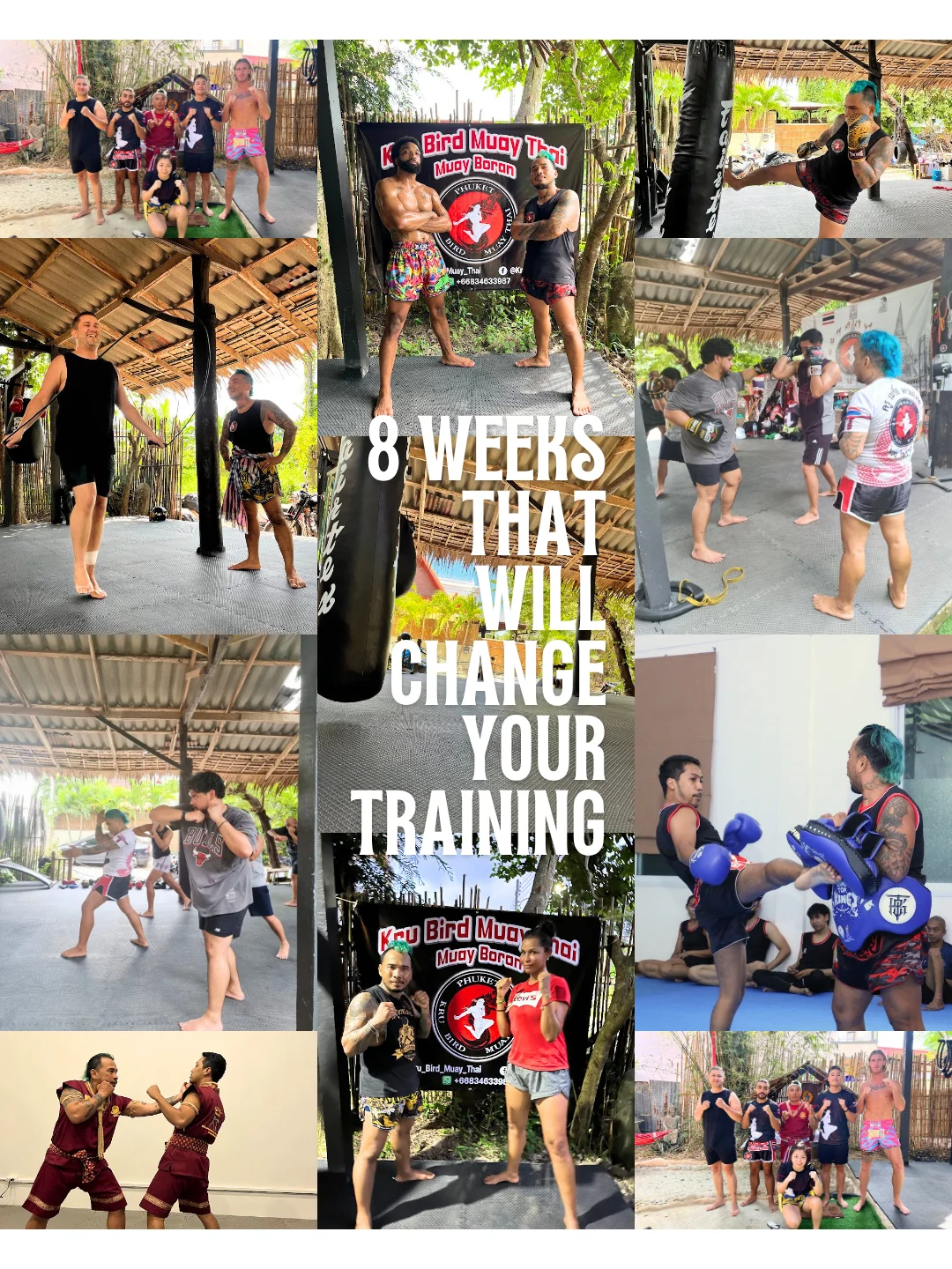 8 Week Training Plan product image (2)