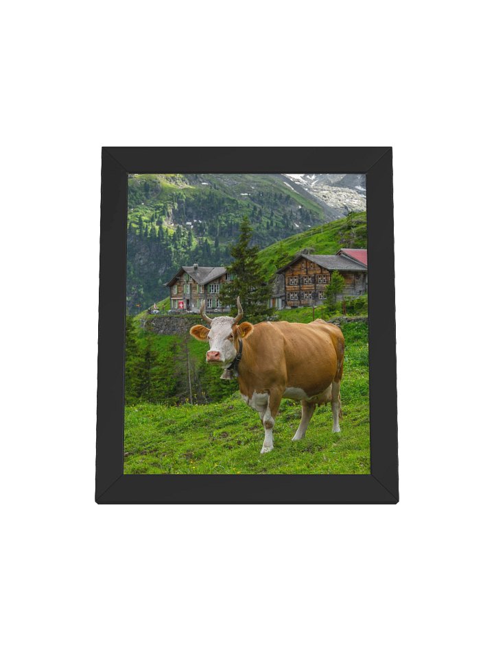 Cow at Obersteinberg product image (5)