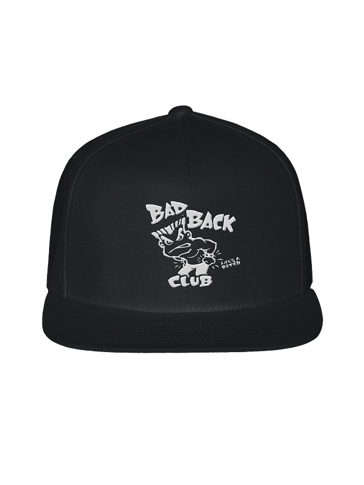 Bad Back Club Baseball Cap product image (1)