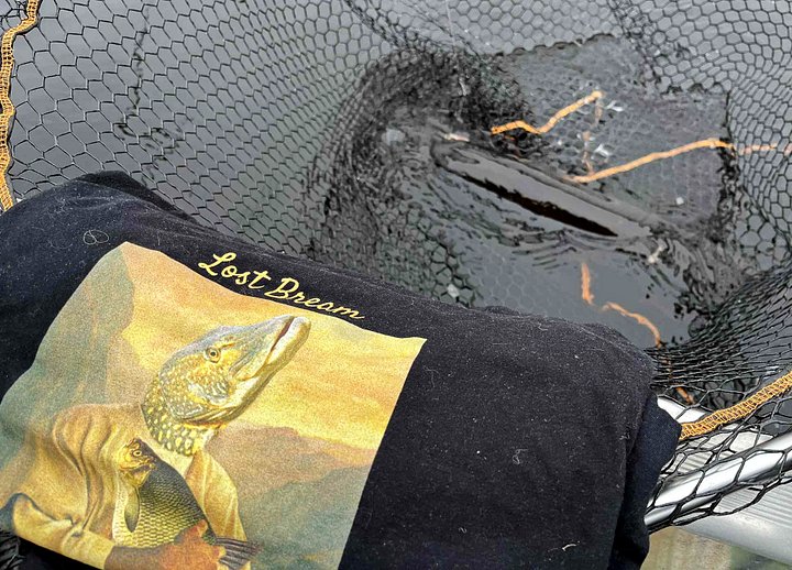 Lost Bream t-shirt product image (2)