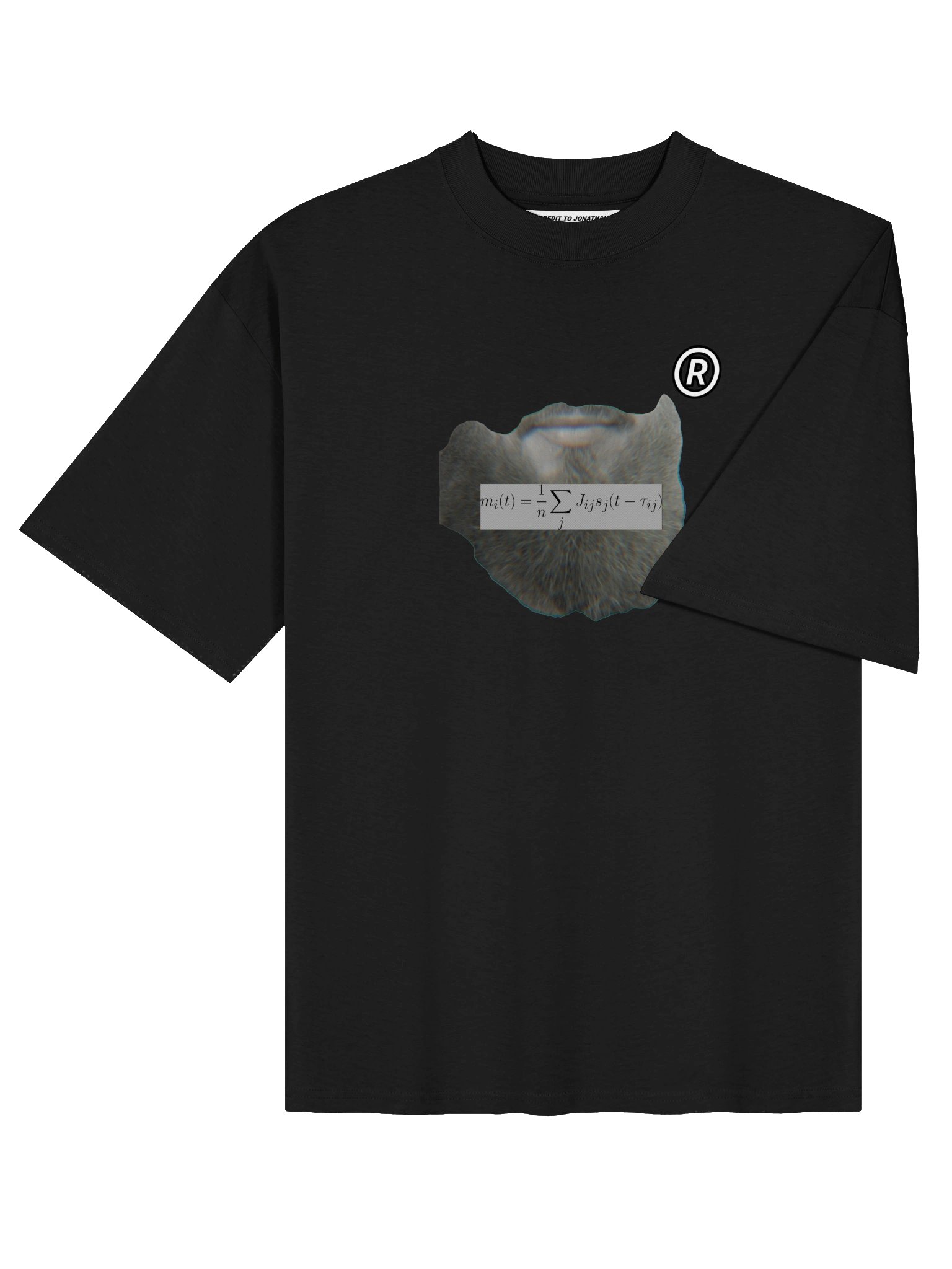 "THE MATH OF THE BEARD" product image (4)