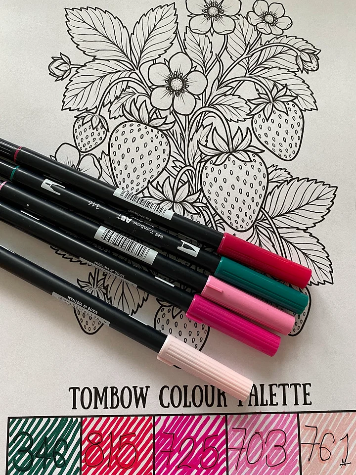 Summer Strawberries Colouring Page product image (1)