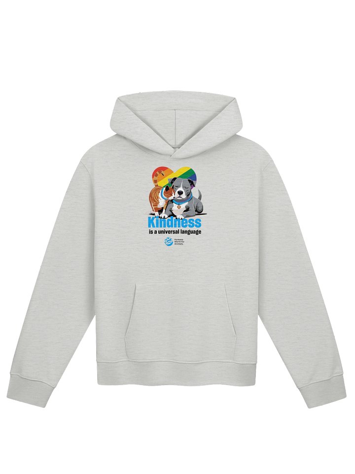 Kindness is a universal language rainbow heart - Hoodie product image (1)