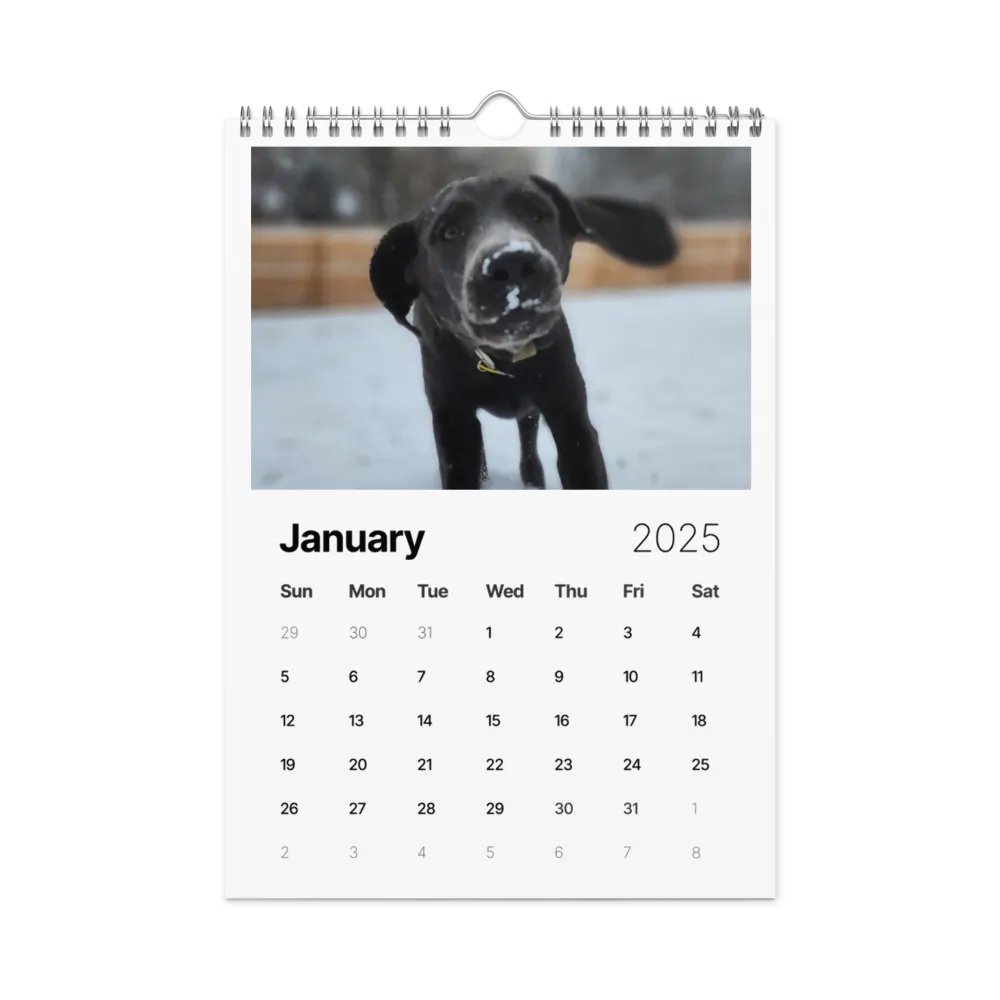 2025 Doggo Calendar product image (6)