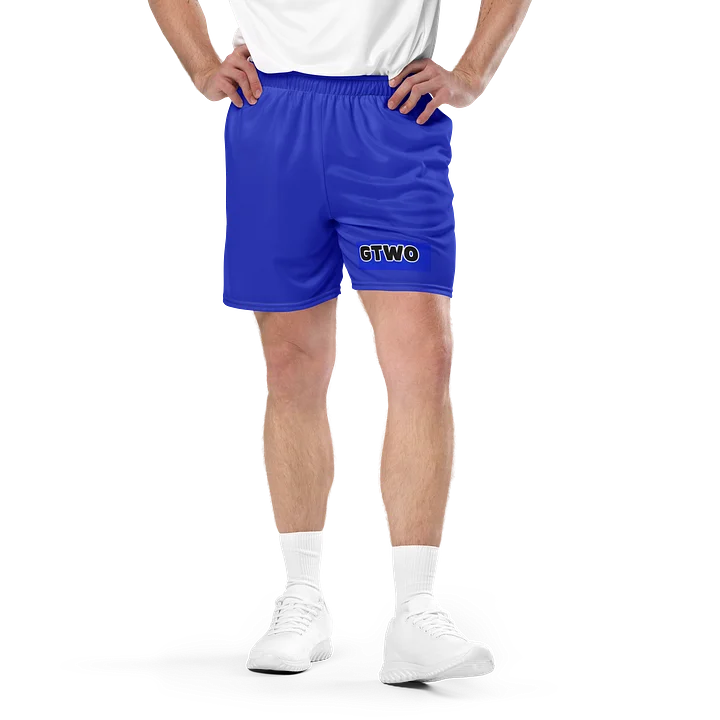 GTWO Shorts product image (1)
