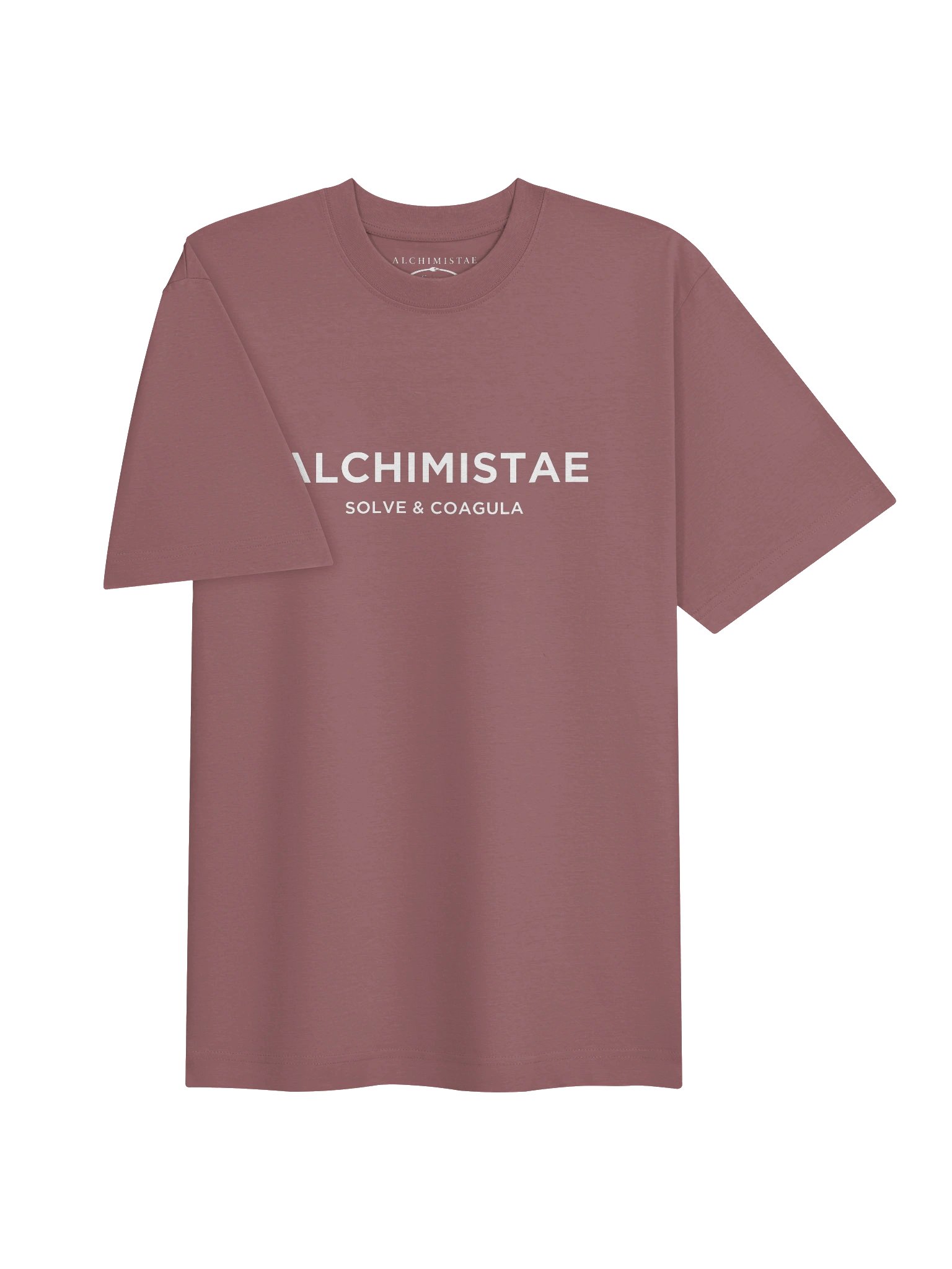 T-Shirt Unisexe Oversize Coton Bio Poids Lourd - ALCHIMISTAE product image (15)