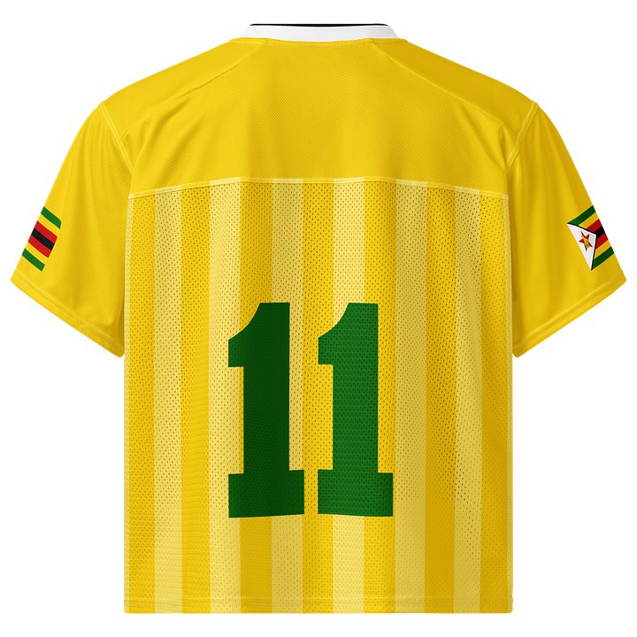 Zimbabwe Boxy Sports Tee product image (2)