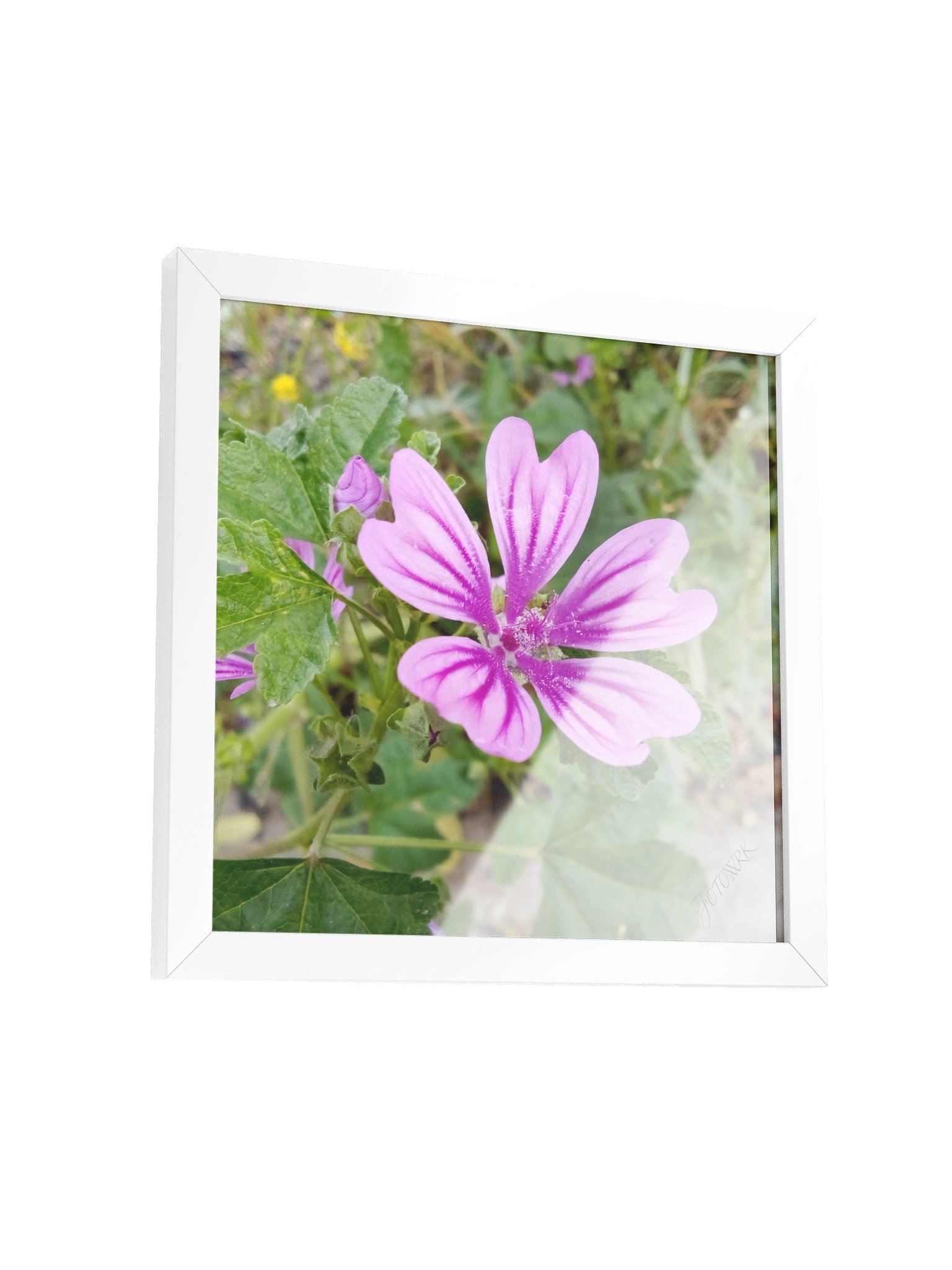 Marta - Square Matte Poster product image (4)