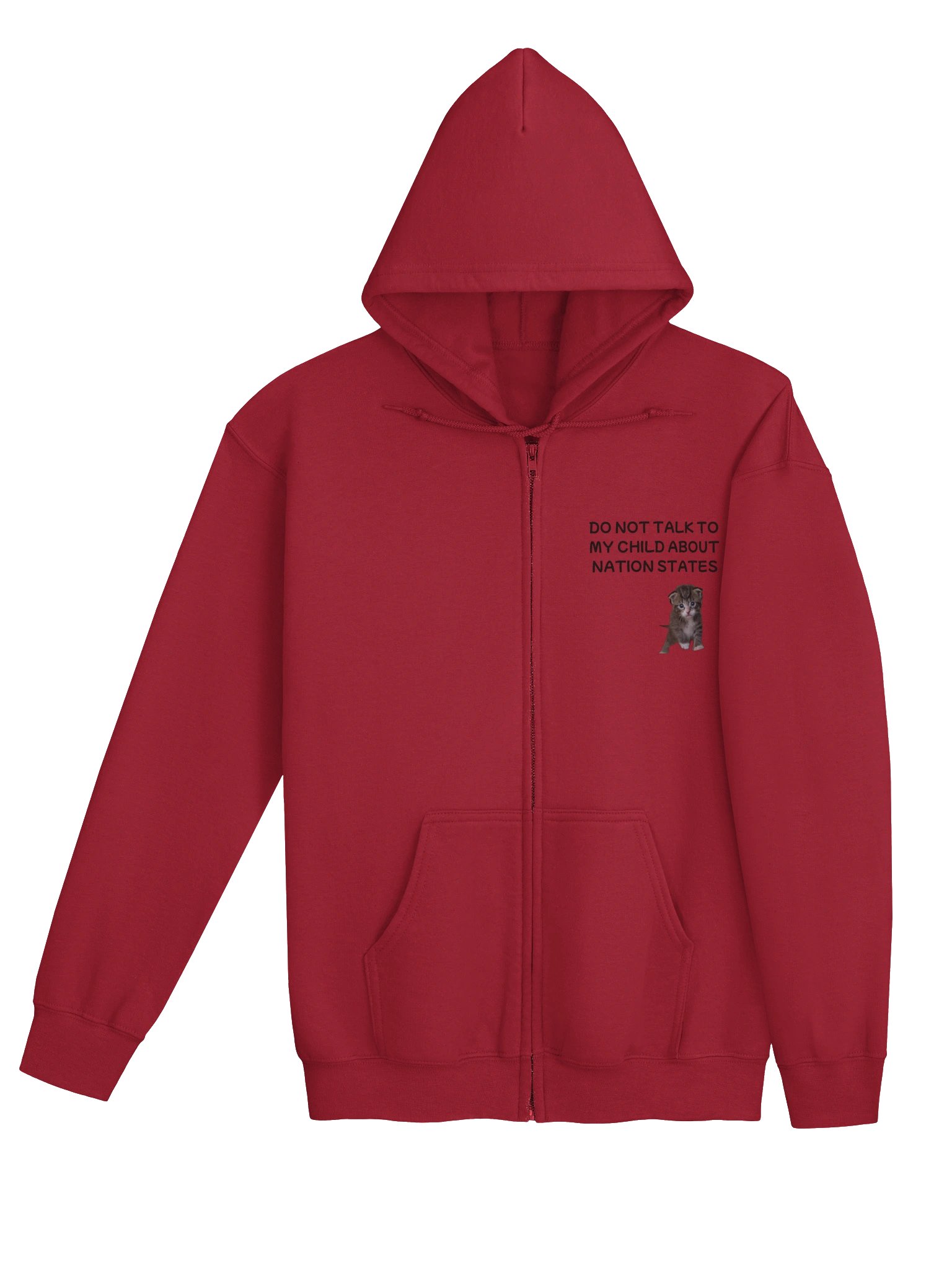 Do Not Talk to My Child About Nation States Zip Hoodie product image (12)